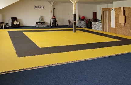 ŠKOLA BOJOVÝCH UMĚNÍ COBRA STUDÉNKA